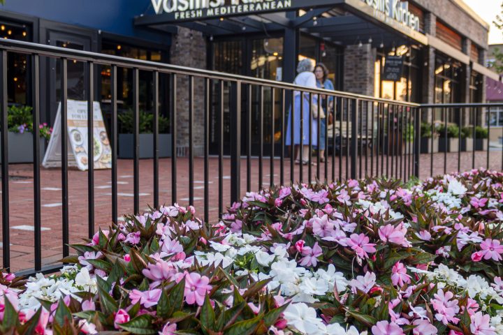 Vasilis Mediterranean Grill — project photo 9