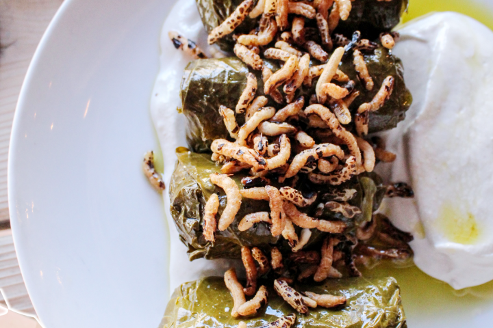 Vasilis Mediterranean Grill — project photo 70