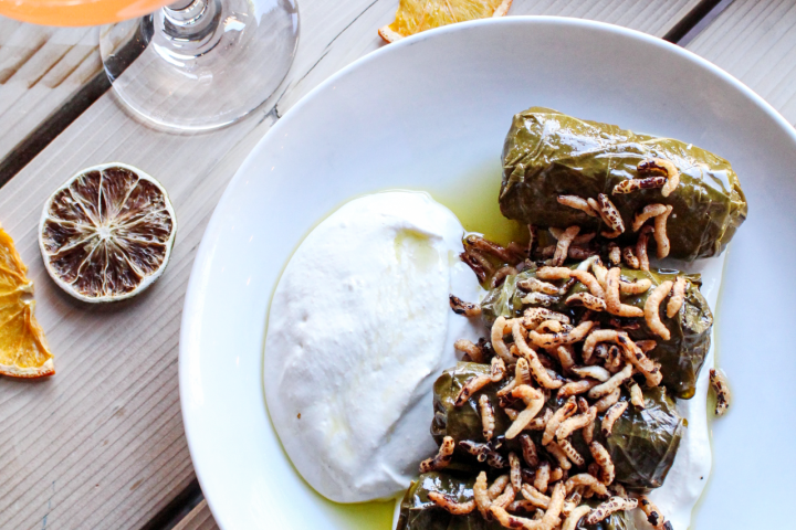 Vasilis Mediterranean Grill — project photo 74